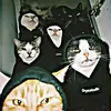 lynxairvanheart