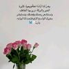 user77946562620141