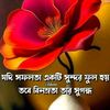 rubel.hossain6768