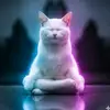 vay_jj