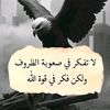 user5605935661960