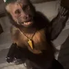 lilmonkeyboy3