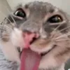 uocdcxh121