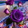 ali.hadir8107