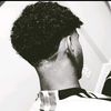 abdallamuhammad23