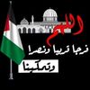 نوح الشوكي