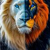 tarek.hamza47