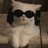 user7806102283081