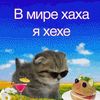 oleg.shishka
