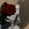 user085990471