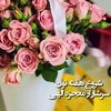 user4148065294914