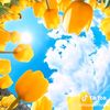 user1780304983818