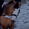 kateandscout1