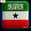 ina.abdirahman398