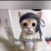 naomi.vargas04