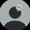 طالبه سادس ✨🤎