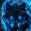 lobo_alfa72