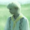 sunny_felix6