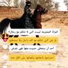 user73097779081728