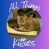 allthingskitties