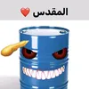 al_skr41