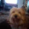 harry.barry073
