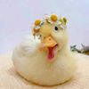 ducky_daisy5