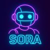 soraainerd