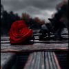 🥀Waseem رائٹس🌺