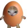gatohuevo3