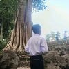 wayaung529