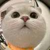 .ryan316
