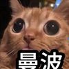 user36152650678003