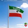 ahmedmohamout30