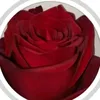user6760852902107