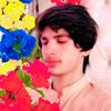 amirjan509gmail.com