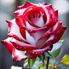 oksana_ttxxx