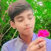alibhatti314044