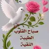 m_ut513