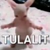 ulalaa597