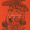En's mushroom garden