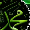user8220115981041