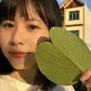 vybiuty