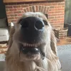 whatsonmynose