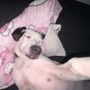 mishaa_6768