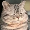 huang.wei_