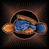 randomaquatic15