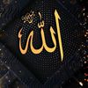 user1703027803185