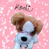 kodi_rubi