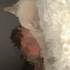 p0lska7
